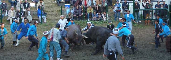 tougyu03